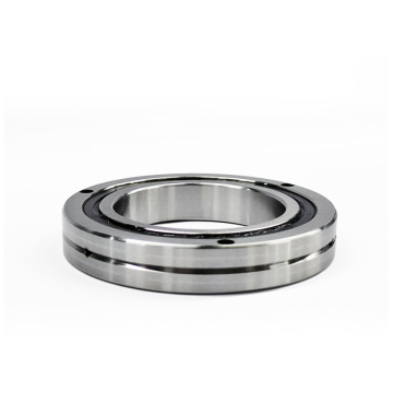 Cross Cylindrical Roller Bearing   RB40040